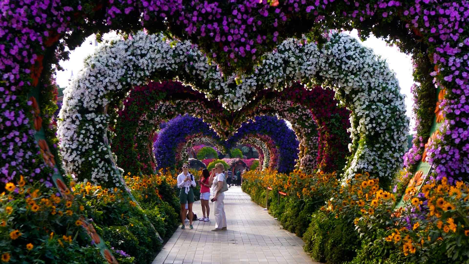 Heart Tunnel view 3
